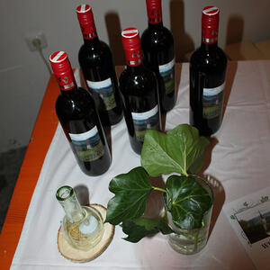 Pfarre Neumarkt im Mühlkreis