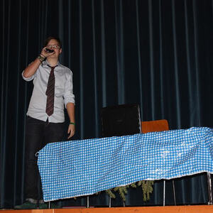 Almrausch am Froschberg