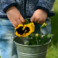 Blumenschmückerinnen