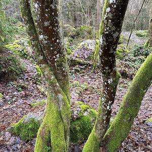 Start Fastenbegleiter-Lehrgang 2023 Bad Mühllacken
