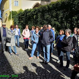nach Grein/Donau und Bad Kreuzen
