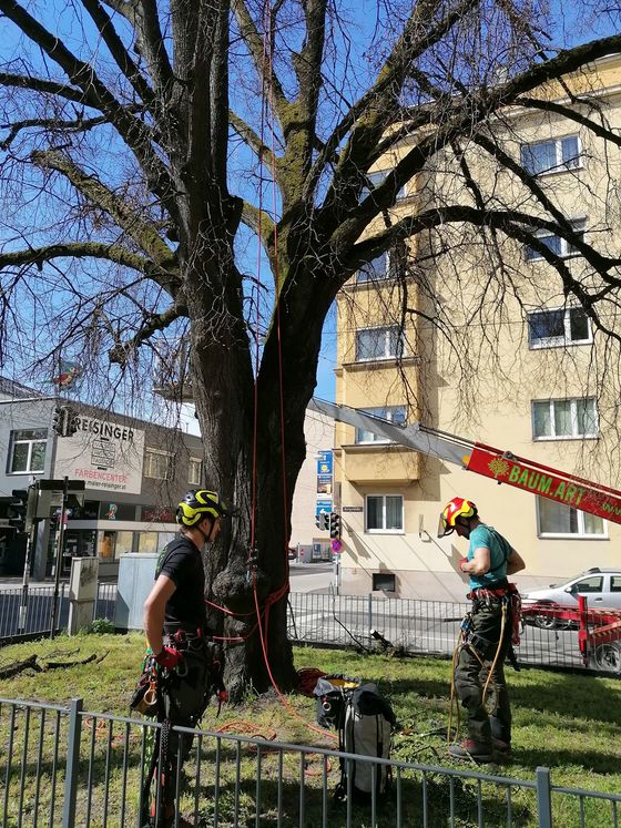 April 2022 - Fa. BAUM.ART