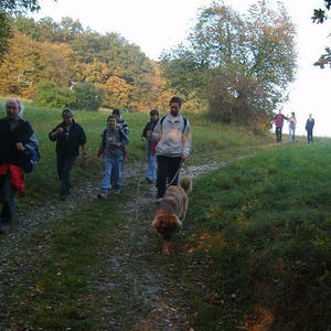 Herbstwanderung 