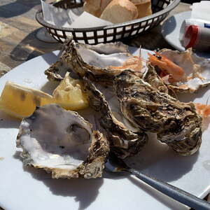 2019 - Pilgerreise Normandie