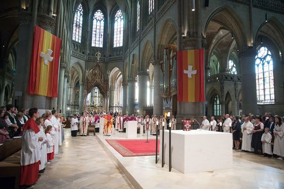 Diakonenweihe im Linzer Mariendom / © Diözese Linz / Wakolbinger Diakonenweihe im Linzer Mariendom