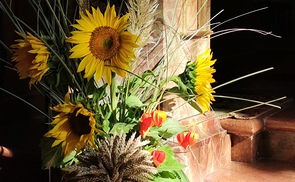 Sonnenblumen