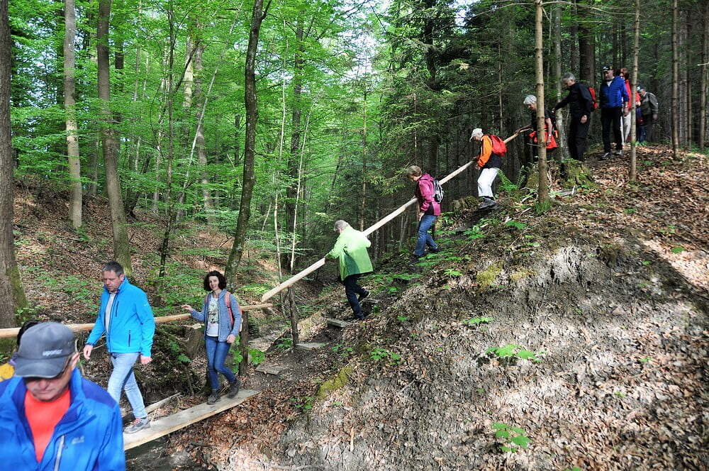 im Stierlingerwald, Gem. Bürmoos