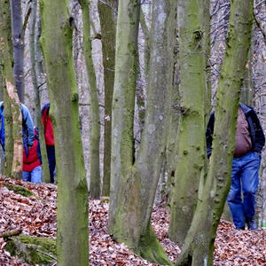 KMB-Frühlingswanderung