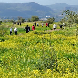 Eindrücke von der pfarrlichen Pilgerreise ins Hl. Land