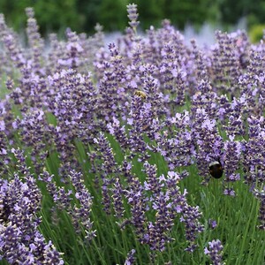 Betriebsausflug 2022 ins Eferdingerland