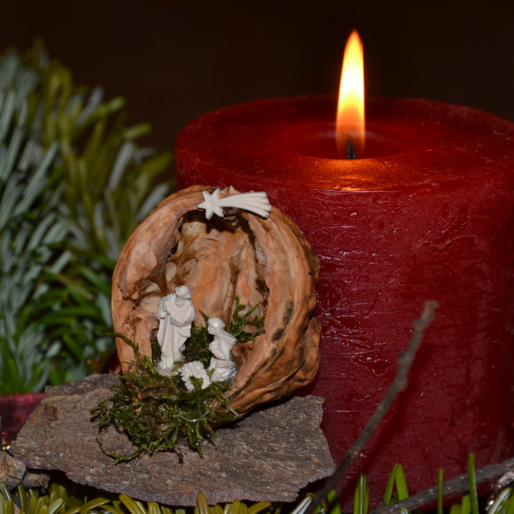 Krippe in einer Nussschale