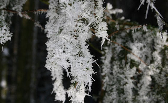 Pfarreisstockturnier