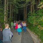 Jubilaeumskreuzweg von der Pettenbacher Kirche Heiligenleithen zum Friedenskreuz auf den OberkaiblingFoto Jack Haijes