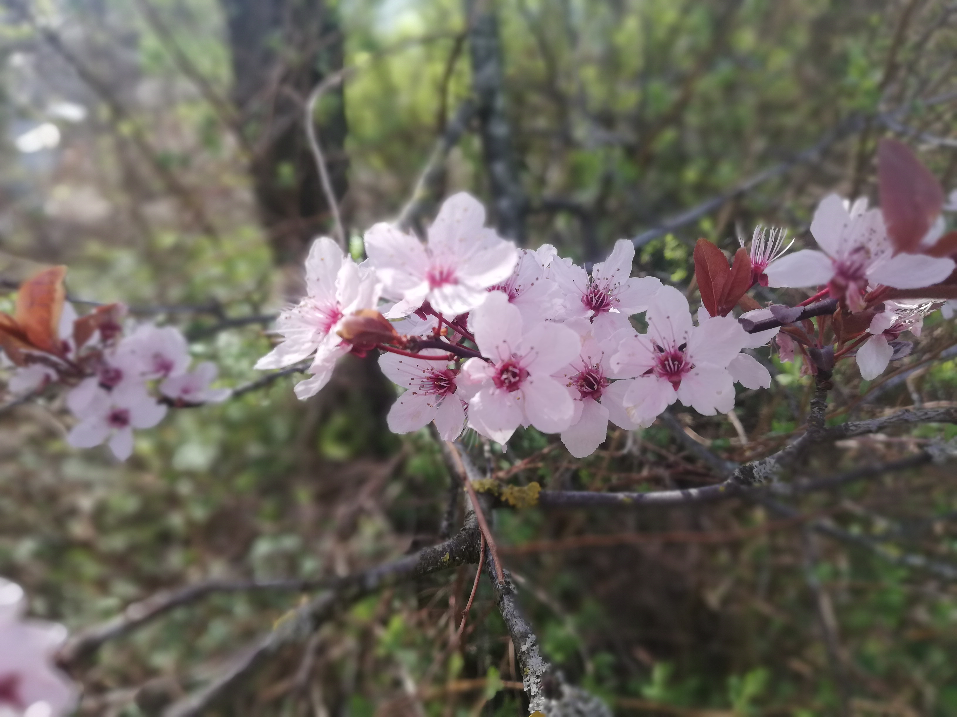 Christine Gruber edf