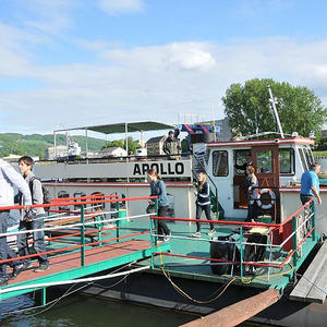 Firmprojekt Hochbeet