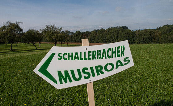 1. Schallerbacher Musiroas 