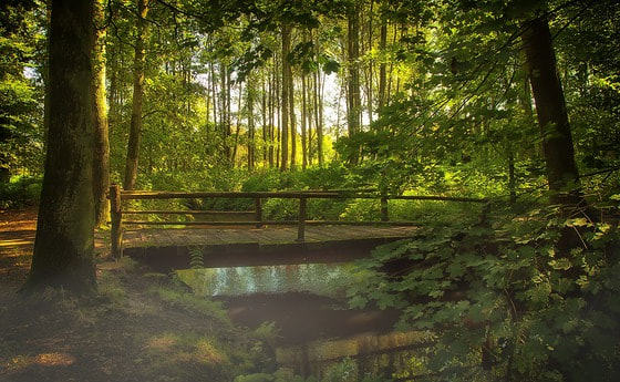 Eine Brücke bauen...