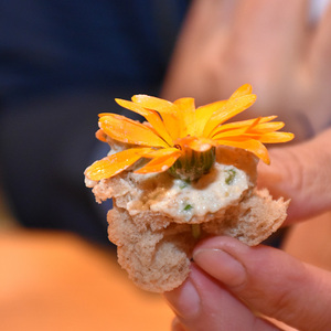 Fußwallfahrt der Pfarre Heilige Familie Wels nach Maria Fallsbach