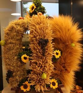 Erntedank- und Pfarrfest 2022