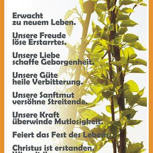 Textbilder für den Jahreskreis der Kirche