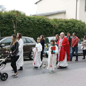 Palmsonntag in St. Quirinus