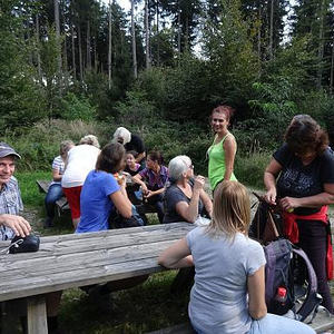 Naturerlebnisweg Pfarrwald Vöcklabruck