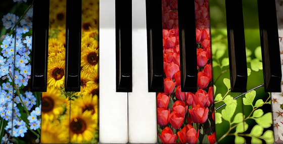 Linzer Orgelfrühling 2017