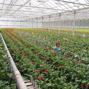 Pfarre Neumarkt im Mühlkreis