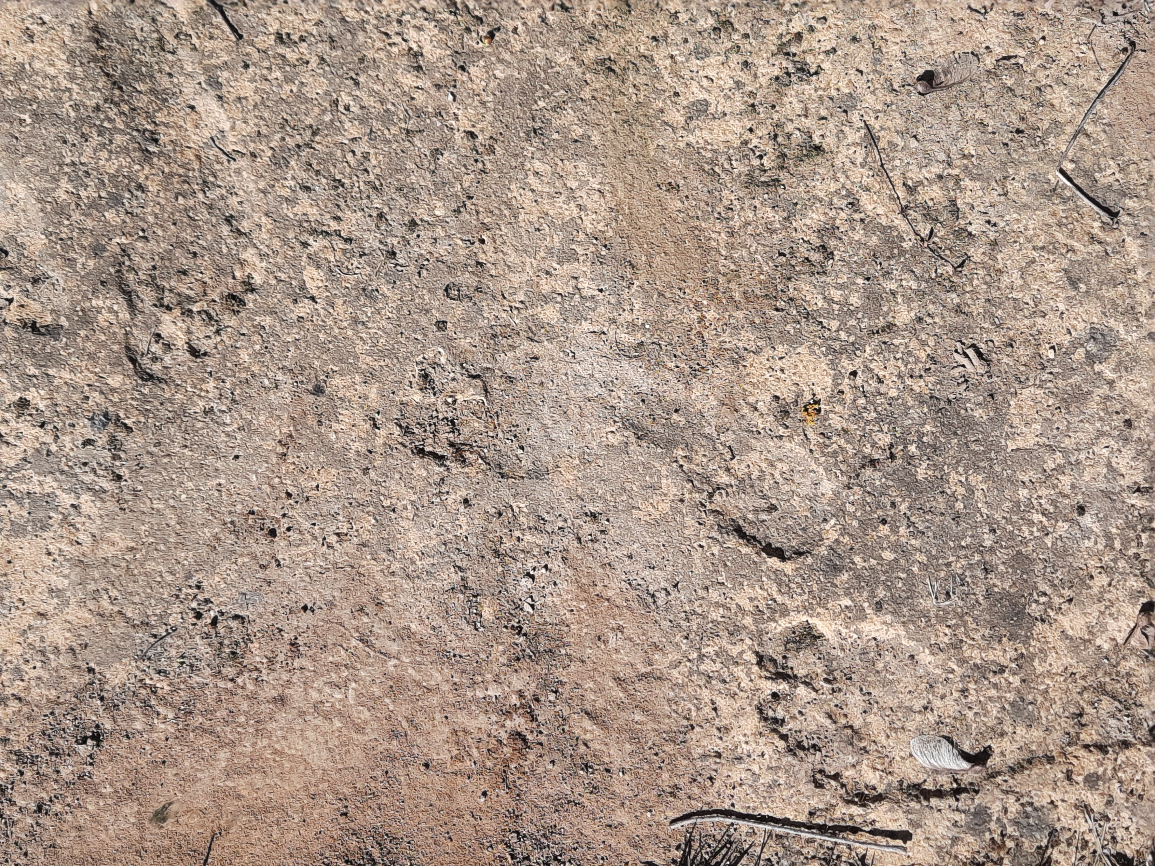 Kreuzweg Zwettl an der Rodl / Christoph Froschauer Stationen