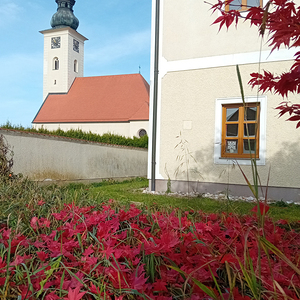 Herbstimpressionen im Pfarrgarten