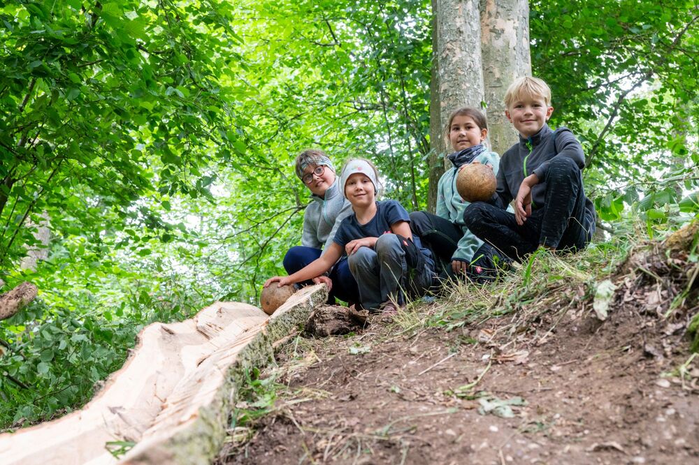 Bau einer Waldkugelbahn