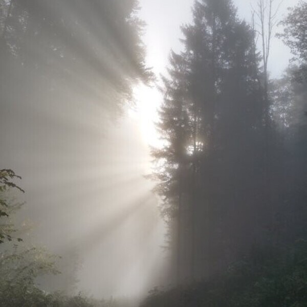 Licht durchbricht die Ausweglosigkeit