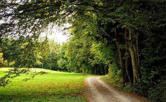 Tagesfrauenwallfahrt