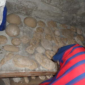 Pfarre Neumarkt im Mühlkreis