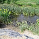 Kindergarten-Schulanfänger