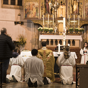 Stadtpfarrkirche Braunau-St. Stephan