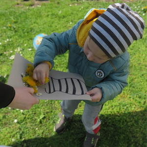 Blumen aus dem Garten