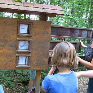 Naturerlebnisweg Pfarrwald Vöcklabruck
