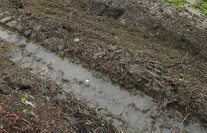 Weiterbau der Grünanlage