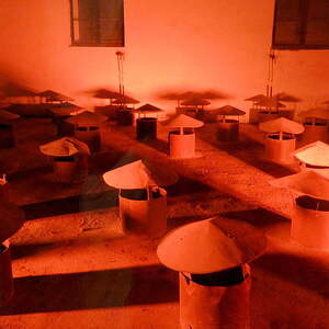 Betriebsausflug 2016