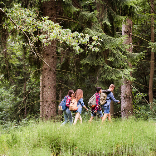Heidewald Schieferegg - Umweltarbeit in der Diözese Linz