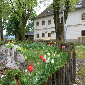 Pilgern Schlierbach-Klaus