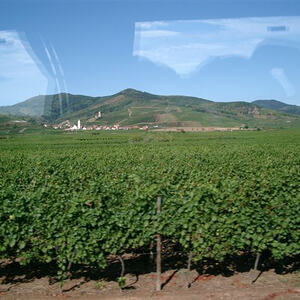 Pfarrwallfahrt Elsass - St. Hippolyte