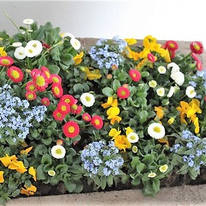 Gründonnerstag 2021