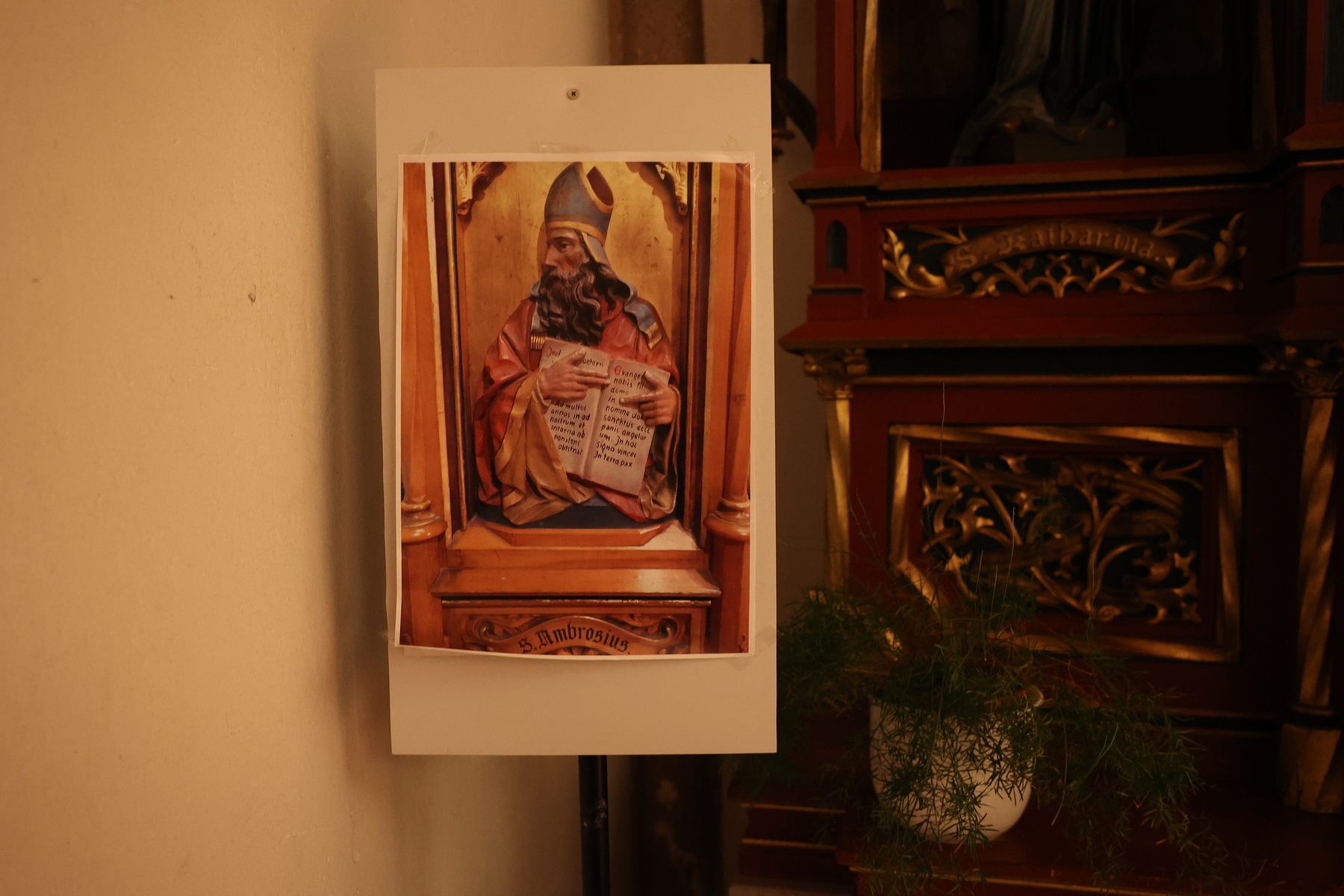 2. Rorate