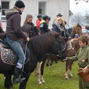 Zu Fuß und hoch zu Pferd