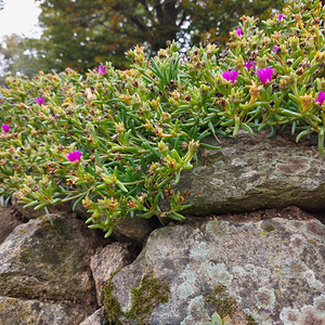 kfb Wallfahrt 2022 - 8. Oktober 