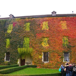 Pfarrreise Südtirol