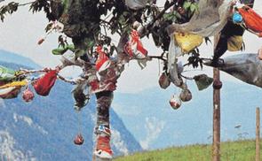 Der Baum der Erkenntnis trägt Plastiktüten... © kunst und kirche