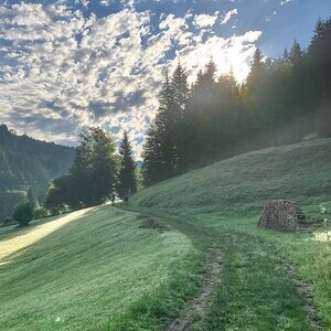 Mariazell-Fußwallfahrt